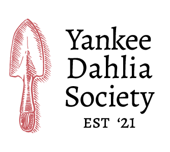 Yankee Dahlia Society